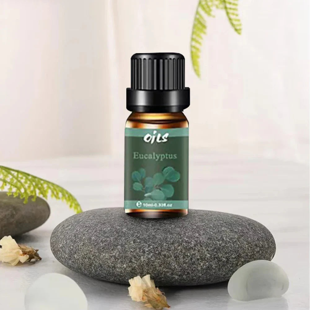6 Luxury Essential Oils Gift Set - Eucalyptus, Vanilla, Peppermint Blends - Spa-Quality Aromatherapy Kit for Home & Wellness, Di