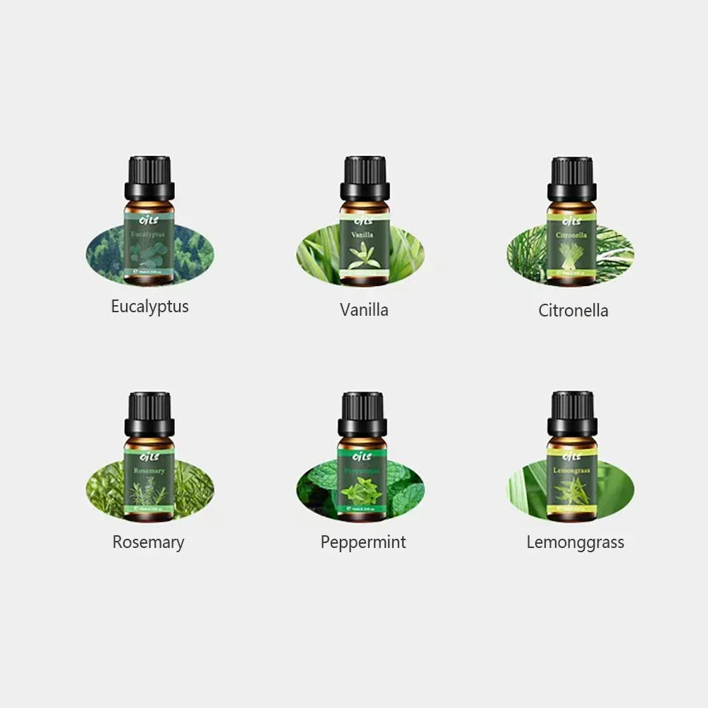 6 Luxury Essential Oils Gift Set - Eucalyptus, Vanilla, Peppermint Blends - Spa-Quality Aromatherapy Kit for Home & Wellness, Di
